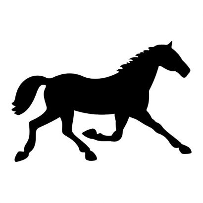 Horse Tattoos Design